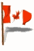 canada3.gif